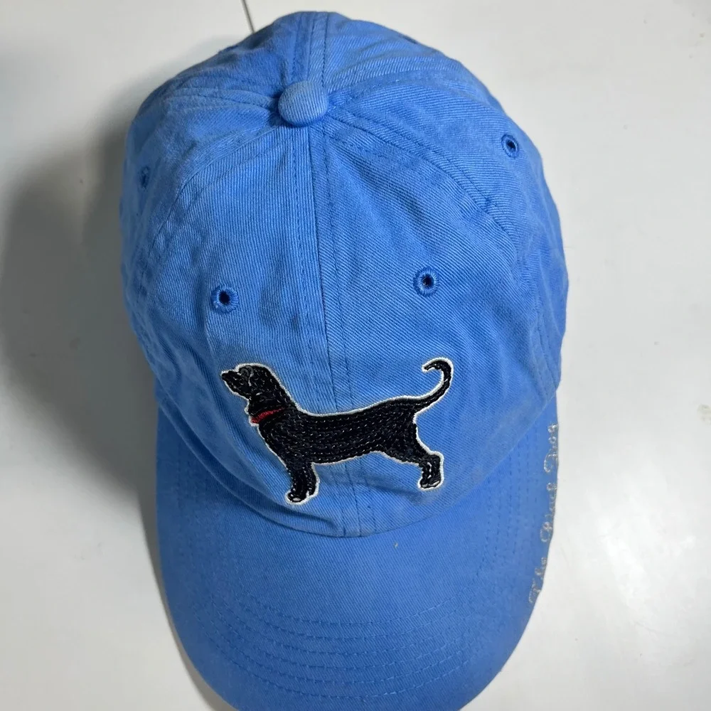 The Black Dog 47 Brand Kids Baseball Hat Blue Sequin Martha's Vineyard Cap